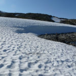 Śnieżną drogą do Hjelledalen (24/63)