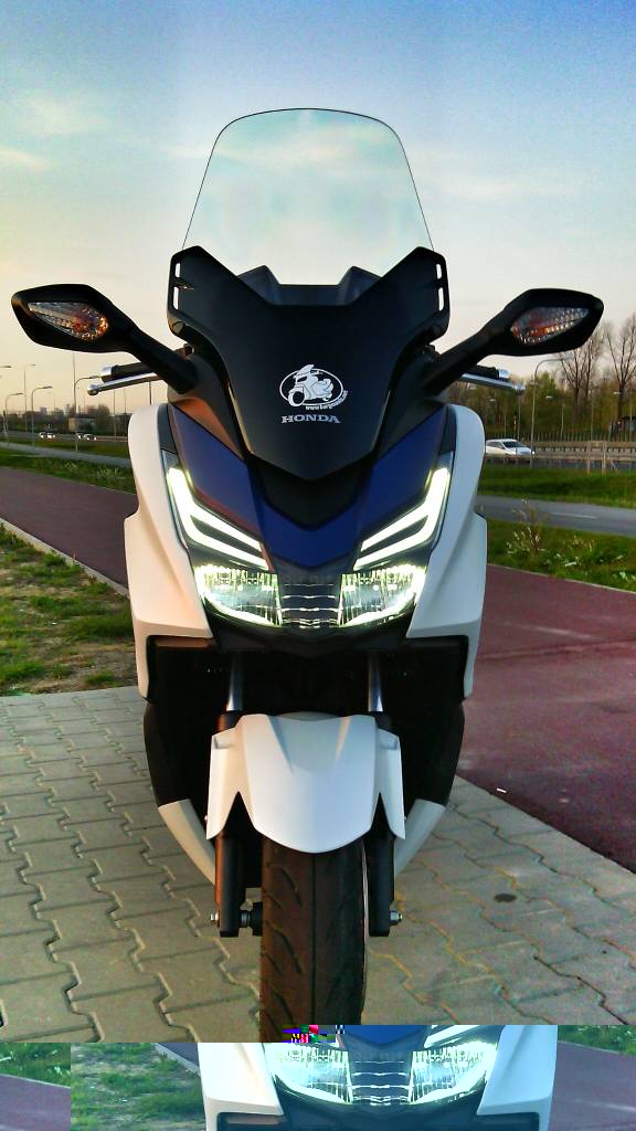 Królowie Segmentu…Test Porównawczy Honda Forza 125 Vs X-Max 125 – Burgmania