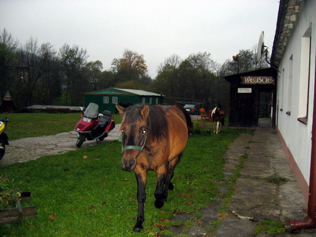 Kliknij żeby powiększyć 