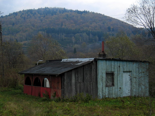 Kliknij żeby powiększyć 