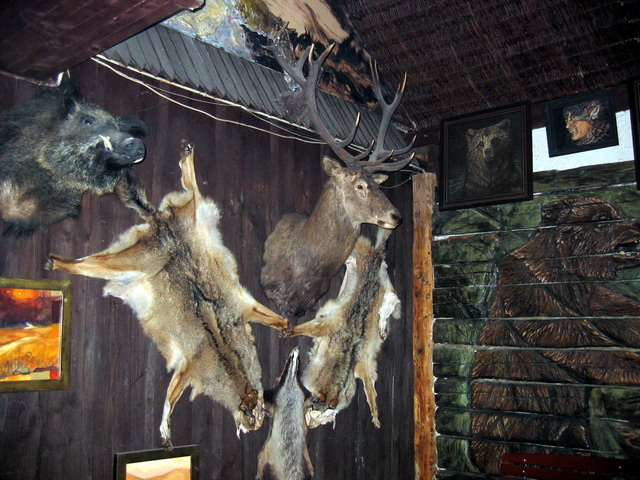 Kliknij żeby powiększyć 