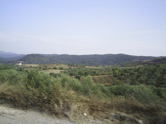 Kliknij żeby powiększyć 