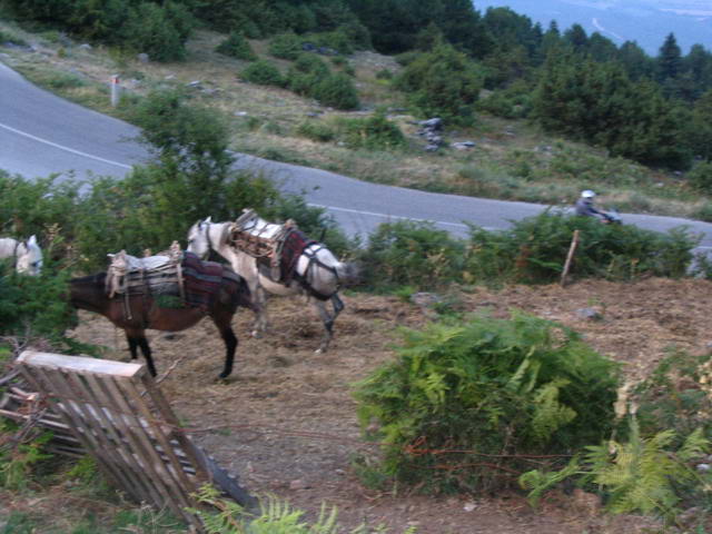 Kliknij żeby powiększyć 