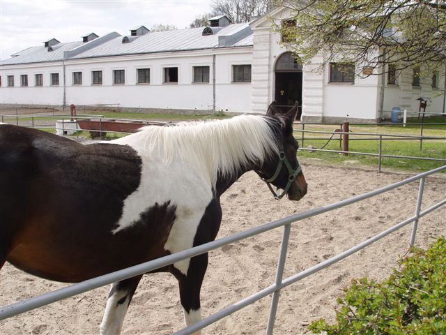 Kliknij żeby powiększyć