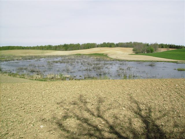 Kliknij żeby powiększyć