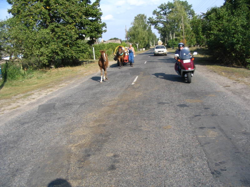 Kliknij żeby powiększyć 