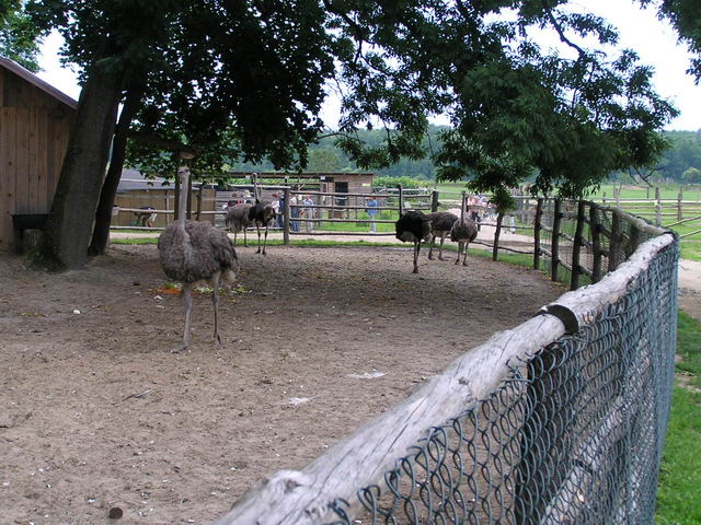 Kliknij żeby powiększyć 